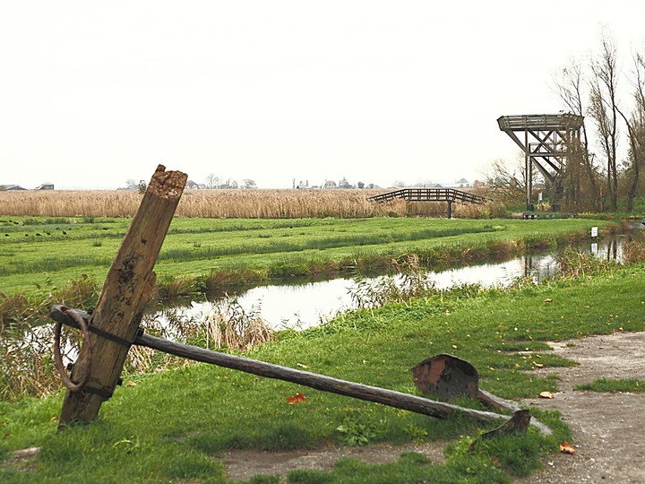 哈倫(Haarlem)市區、聖巴弗教堂(St.-Bavokerk)、桑斯安斯(Zaanse Schans)風車村、福倫丹(Volendam)午餐、羊角村(Giethoorn)遊船 — 荷蘭鄉間風光 — 2023年冬季歐洲行旅 第二部