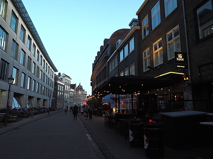 哈倫(Haarlem)市區、聖巴弗教堂(St.-Bavokerk)、桑斯安斯(Zaanse Schans)風車村、福倫丹(Volendam)午餐、羊角村(Giethoorn)遊船 — 荷蘭鄉間風光 — 2023年冬季歐洲行旅 第二部