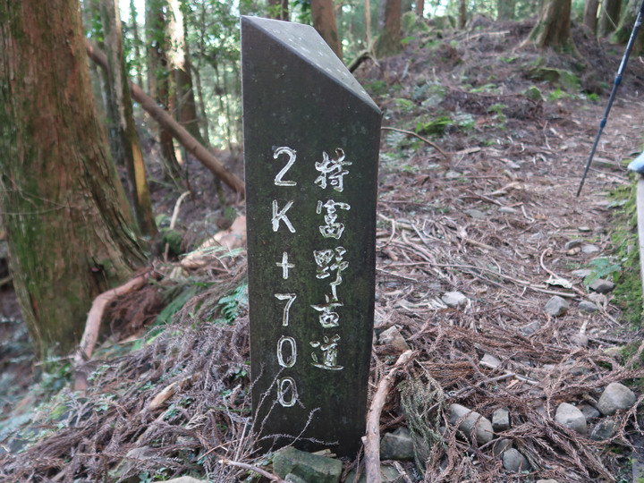 【特富野古道】見證台灣山林的美麗與哀愁 | 順訪兒玉山/東水山