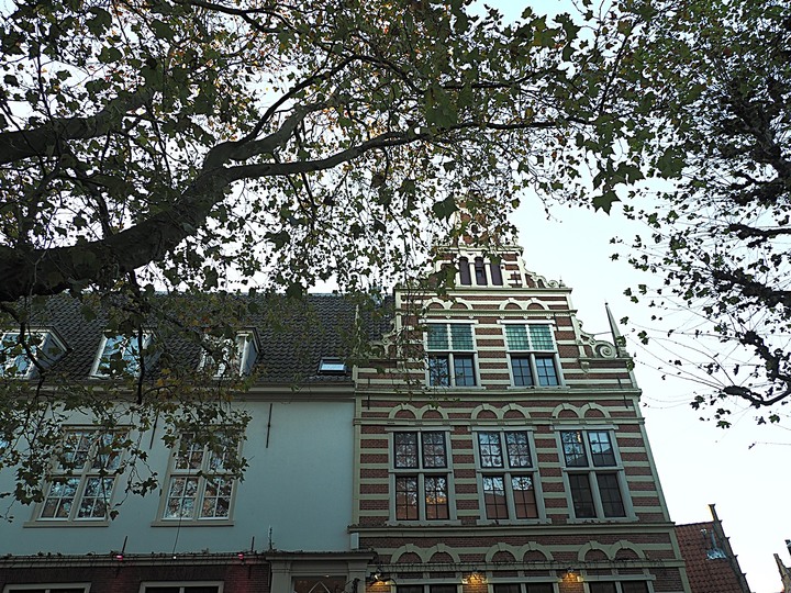 哈倫(Haarlem)市區、聖巴弗教堂(St.-Bavokerk)、桑斯安斯(Zaanse Schans)風車村、福倫丹(Volendam)午餐、羊角村(Giethoorn)遊船 — 荷蘭鄉間風光 — 2023年冬季歐洲行旅 第二部