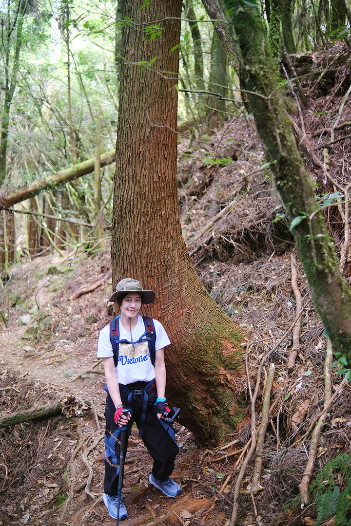 【特富野古道】見證台灣山林的美麗與哀愁 | 順訪兒玉山/東水山