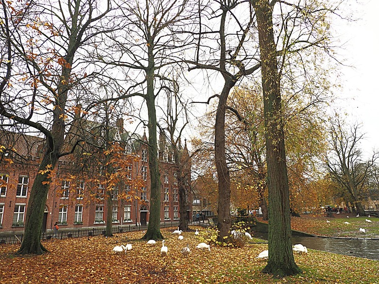 布魯日大廣場(Grote Markt)、大鐘樓(Belfort) 、市政廳(Stadhuis Brugge) 、玫瑰碼頭(Rosary Quay) 、聖母教堂(Onze-Lieve-Vrouwekerk)、貝居安禮修道院(Begijnhofkapel),還有白酒淡菜 — 世界文化遺產 之 布魯日歷史中心(Historic Centre of Brugge) — 2023年冬季歐洲行旅 第五部
