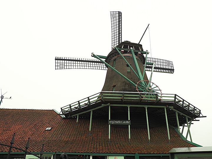 哈倫(Haarlem)市區、聖巴弗教堂(St.-Bavokerk)、桑斯安斯(Zaanse Schans)風車村、福倫丹(Volendam)午餐、羊角村(Giethoorn)遊船 — 荷蘭鄉間風光 — 2023年冬季歐洲行旅 第二部