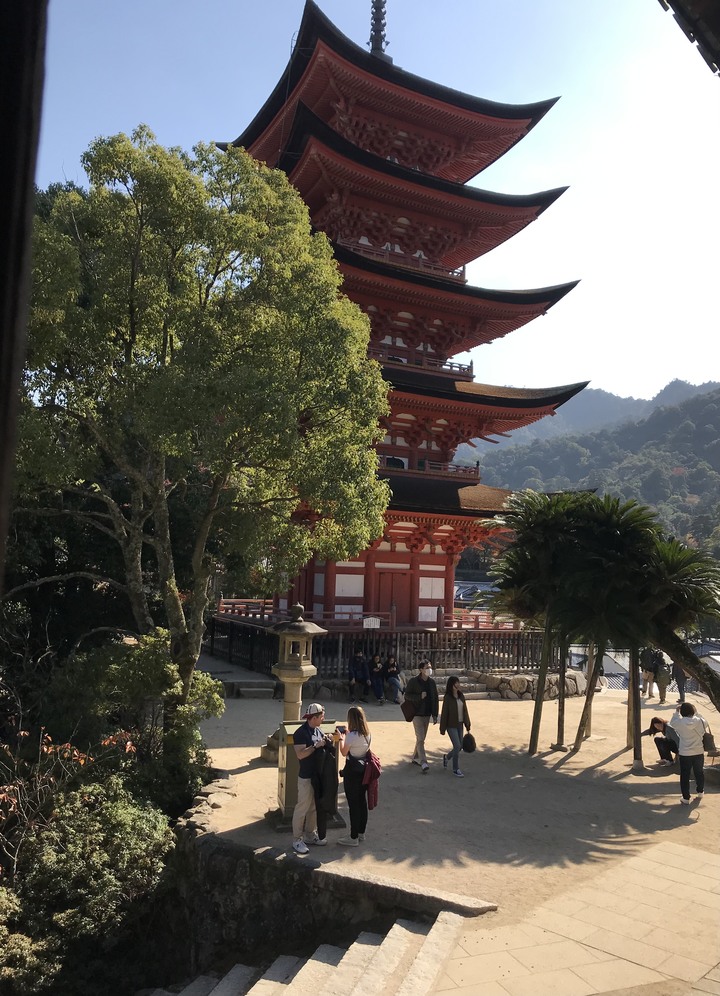 日本賞楓/JR pass/1人自由行11天10夜(Day6）