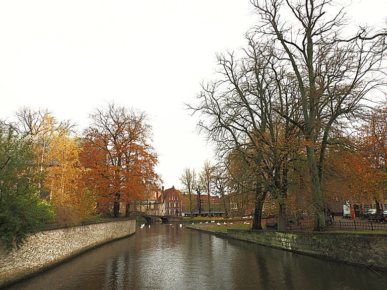 布魯日大廣場(Grote Markt)、大鐘樓(Belfort) 、市政廳(Stadhuis Brugge) 、玫瑰碼頭(Rosary Quay) 、聖母教堂(Onze-Lieve-Vrouwekerk)、貝居安禮修道院(Begijnhofkapel),還有白酒淡菜 — 世界文化遺產 之 布魯日歷史中心(Historic Centre of Brugge) — 2023年冬季歐洲行旅 第五部