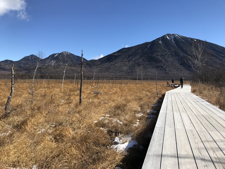 日本賞楓/JR pass/1人自由行11天10夜(Day5）