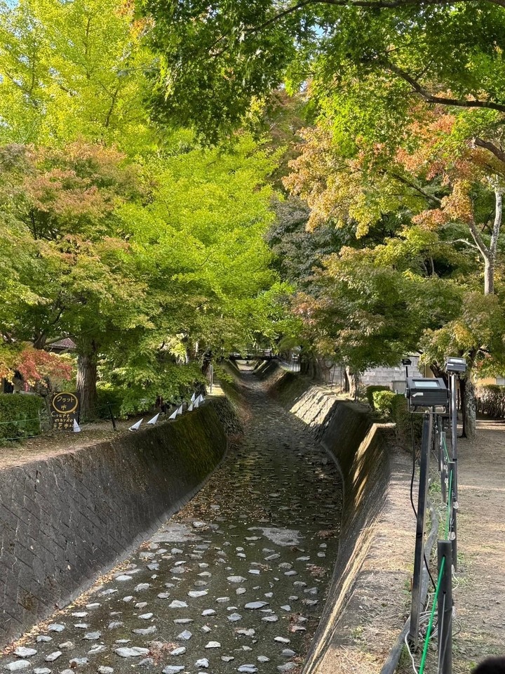 第二次搭星宇飛東京 從驚品變精品體驗 下集