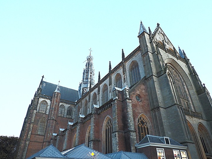 哈倫(Haarlem)市區、聖巴弗教堂(St.-Bavokerk)、桑斯安斯(Zaanse Schans)風車村、福倫丹(Volendam)午餐、羊角村(Giethoorn)遊船 — 荷蘭鄉間風光 — 2023年冬季歐洲行旅 第二部