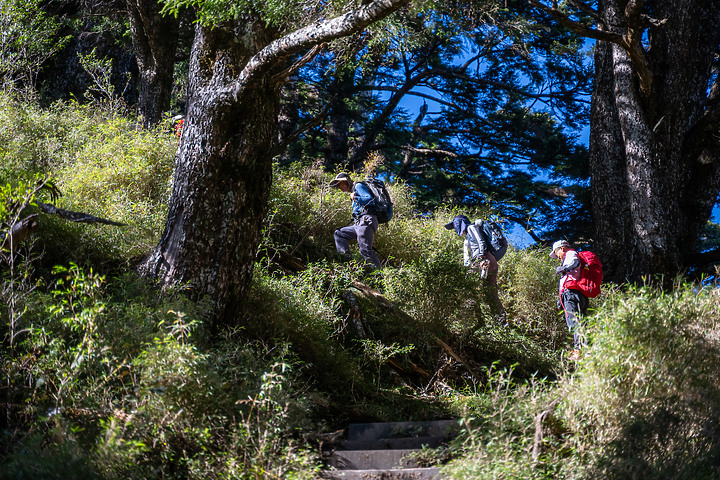 南橫三星｜重返山林之旅