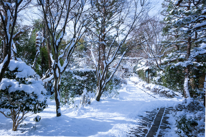 點我看大圖 京阪8天7夜分享-幸運遇見雪金閣