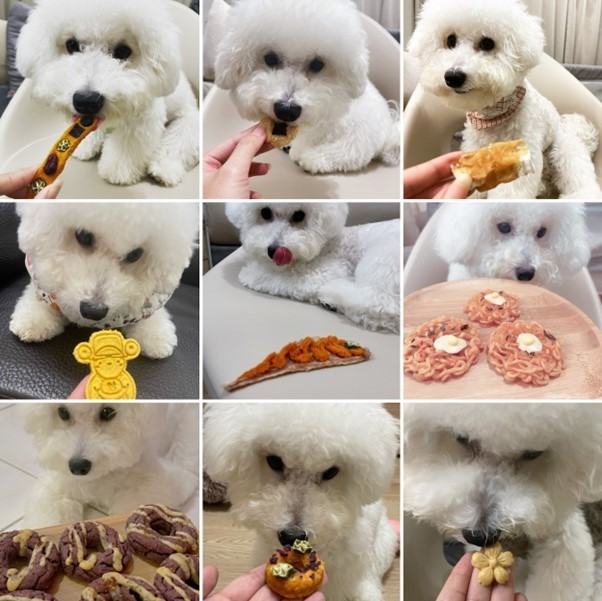 比熊寶包吃肉肉