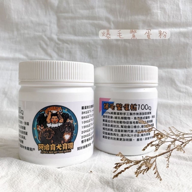 怎樣讓主子擁有漂亮的貓毛？