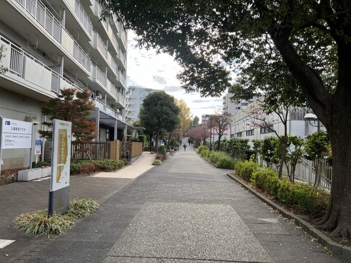 埼玉丨彩之森入間公園丨東京近郊私房賞楓景點丨搭乘西武鐵道特急Laview號