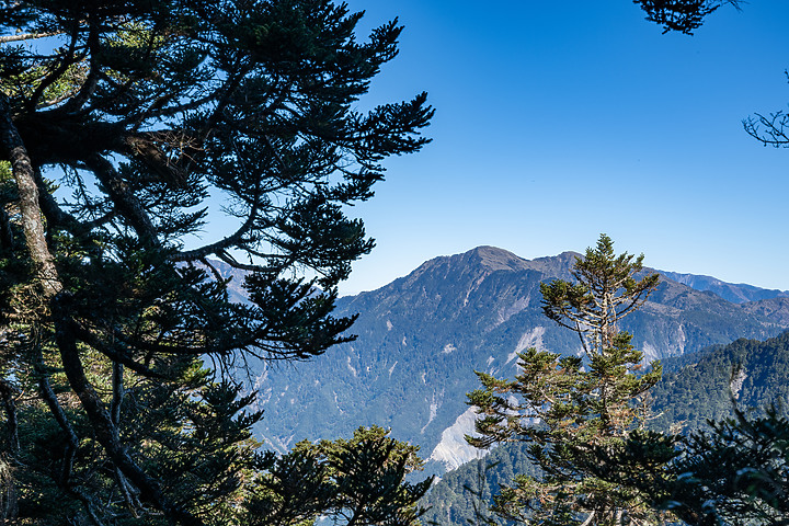 點我看大圖 南橫三星|重返山林之旅