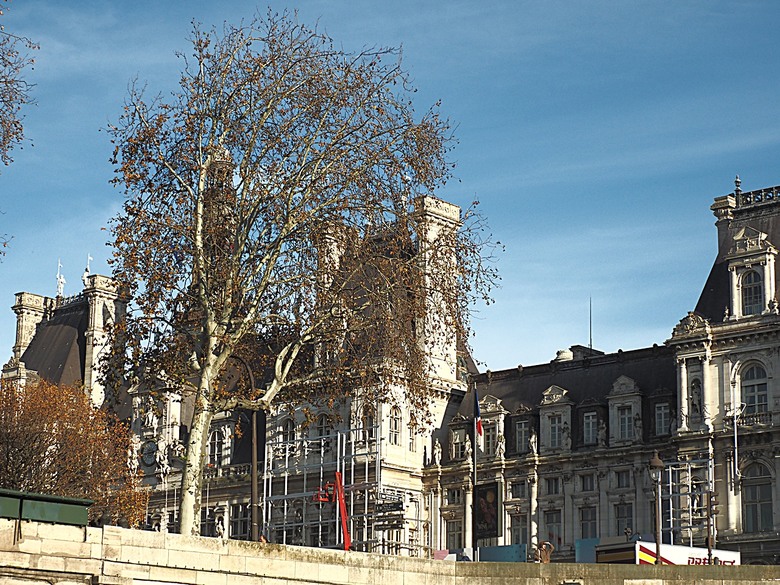 塞納河遊船 (Bateaux-Mouches) 與 羅浮宮(Musée du Louvre)，外掛地窖內享用法式烤田螺與鴨胸 — 世界文化遺產 之 巴黎，塞纳河畔(Paris, Banks of the Seine) — 2023年冬季歐洲行旅 第六部