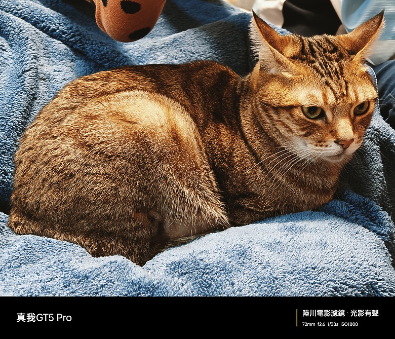 realme GT5 Pro體驗｜S8 Gen 3搭潛望鏡組的性價王者！