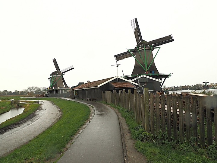 哈倫(Haarlem)市區、聖巴弗教堂(St.-Bavokerk)、桑斯安斯(Zaanse Schans)風車村、福倫丹(Volendam)午餐、羊角村(Giethoorn)遊船 — 荷蘭鄉間風光 — 2023年冬季歐洲行旅 第二部