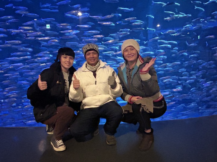 冬遊北海道(上)-五稜郭公園-女子修道院-大沼國定公園-小樽運河-尼克斯海洋公園