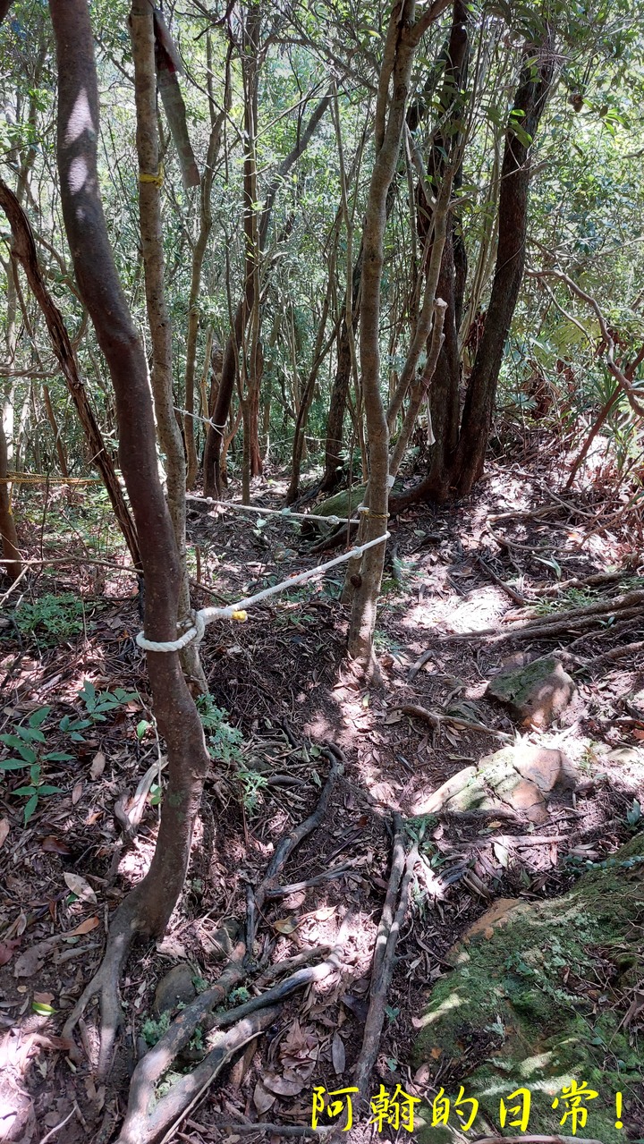 平溪中央尖 不是百岳的那個中央尖｜臭頭山 為何臭頭?