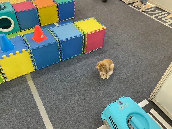 展昭寵物展 一日遊記