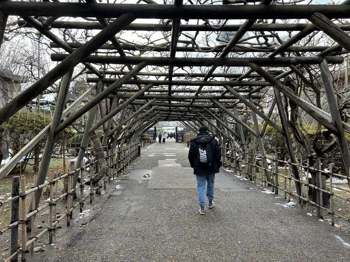 冬遊北海道(上)-五稜郭公園-女子修道院-大沼國定公園-小樽運河-尼克斯海洋公園