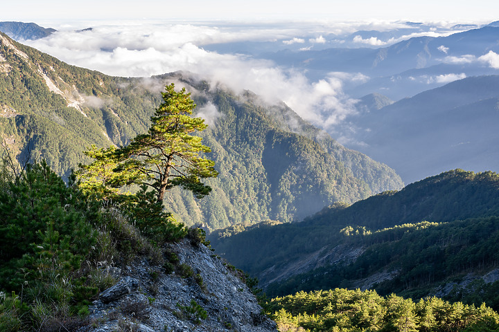 南橫三星｜重返山林之旅