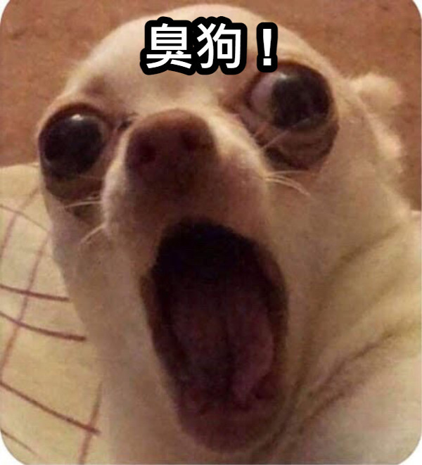 狗臭味大家都怎麼處理？