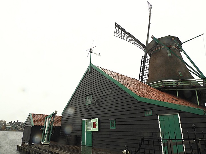 哈倫(Haarlem)市區、聖巴弗教堂(St.-Bavokerk)、桑斯安斯(Zaanse Schans)風車村、福倫丹(Volendam)午餐、羊角村(Giethoorn)遊船 — 荷蘭鄉間風光 — 2023年冬季歐洲行旅 第二部