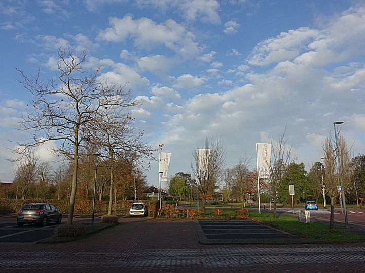 哈倫(Haarlem)市區、聖巴弗教堂(St.-Bavokerk)、桑斯安斯(Zaanse Schans)風車村、福倫丹(Volendam)午餐、羊角村(Giethoorn)遊船 — 荷蘭鄉間風光 — 2023年冬季歐洲行旅 第二部