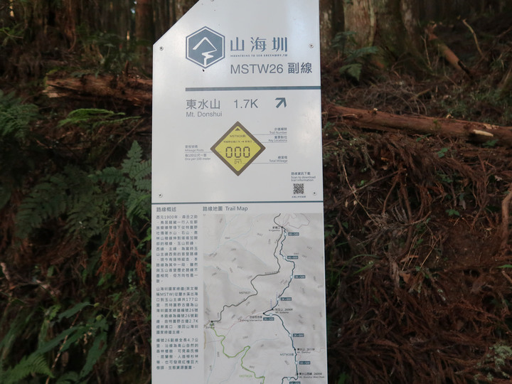 【特富野古道】見證台灣山林的美麗與哀愁 | 順訪兒玉山/東水山