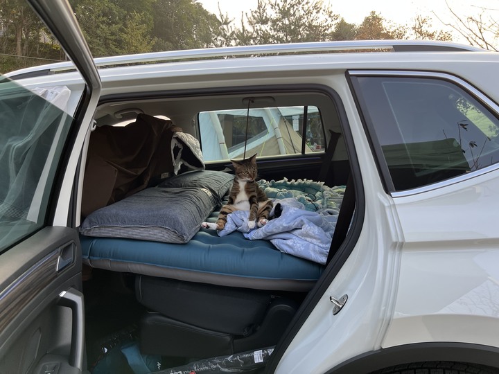 Tiguan allspace 330 開箱/三萬保養/換胎PC7分享