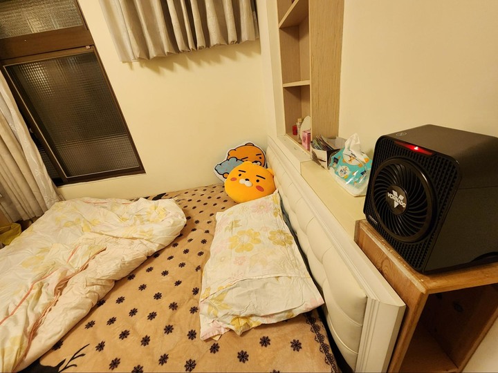 VORNADO V1 便攜の循環電暖器評價 (✪5星好評)