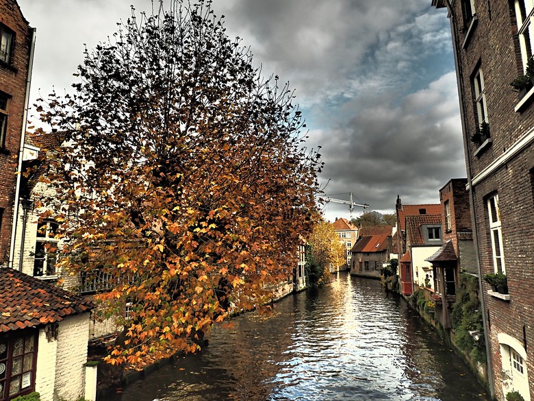 布魯日大廣場(Grote Markt)、大鐘樓(Belfort) 、市政廳(Stadhuis Brugge) 、玫瑰碼頭(Rosary Quay) 、聖母教堂(Onze-Lieve-Vrouwekerk)、貝居安禮修道院(Begijnhofkapel),還有白酒淡菜 — 世界文化遺產 之 布魯日歷史中心(Historic Centre of Brugge) — 2023年冬季歐洲行旅 第五部