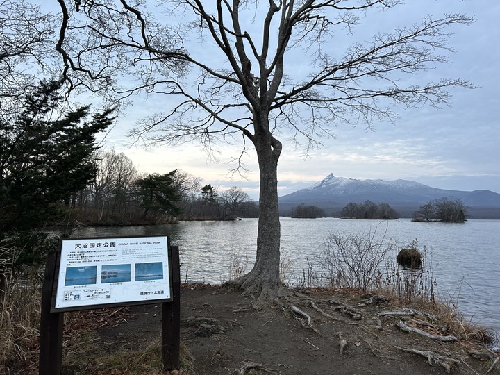 冬遊北海道(上)-五稜郭公園-女子修道院-大沼國定公園-小樽運河-尼克斯海洋公園