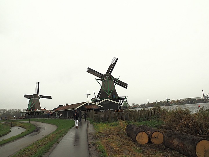 哈倫(Haarlem)市區、聖巴弗教堂(St.-Bavokerk)、桑斯安斯(Zaanse Schans)風車村、福倫丹(Volendam)午餐、羊角村(Giethoorn)遊船 — 荷蘭鄉間風光 — 2023年冬季歐洲行旅 第二部
