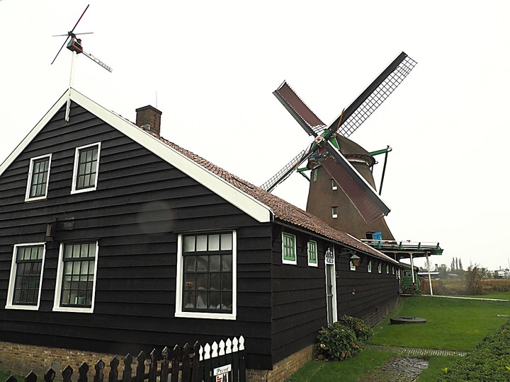 哈倫(Haarlem)市區、聖巴弗教堂(St.-Bavokerk)、桑斯安斯(Zaanse Schans)風車村、福倫丹(Volendam)午餐、羊角村(Giethoorn)遊船 — 荷蘭鄉間風光 — 2023年冬季歐洲行旅 第二部