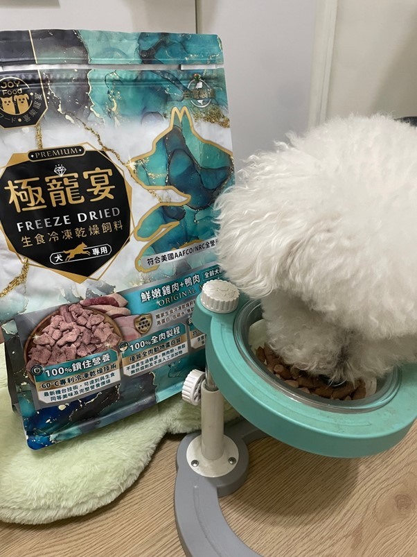比熊寶包吃肉肉