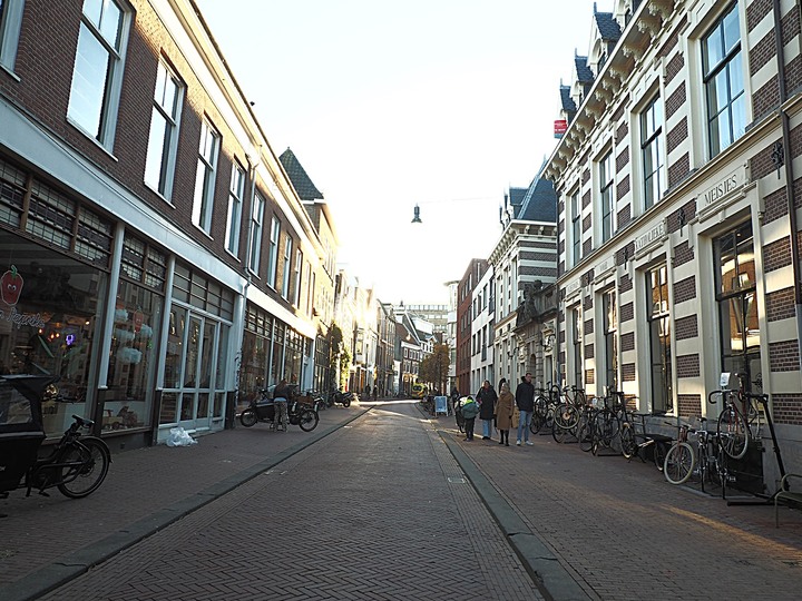 哈倫(Haarlem)市區、聖巴弗教堂(St.-Bavokerk)、桑斯安斯(Zaanse Schans)風車村、福倫丹(Volendam)午餐、羊角村(Giethoorn)遊船 — 荷蘭鄉間風光 — 2023年冬季歐洲行旅 第二部