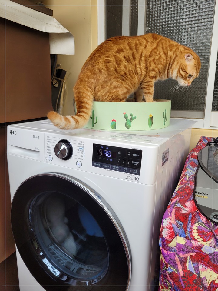 孝親好幫手《LG免曬衣乾衣機》，代替自己好好幫忙免曬衣！