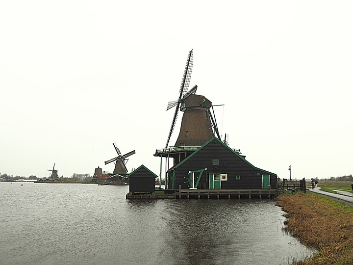 哈倫(Haarlem)市區、聖巴弗教堂(St.-Bavokerk)、桑斯安斯(Zaanse Schans)風車村、福倫丹(Volendam)午餐、羊角村(Giethoorn)遊船 — 荷蘭鄉間風光 — 2023年冬季歐洲行旅 第二部