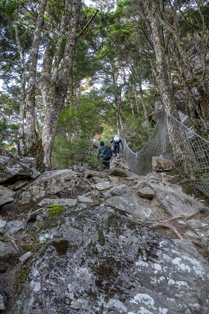 南橫三星｜重返山林之旅