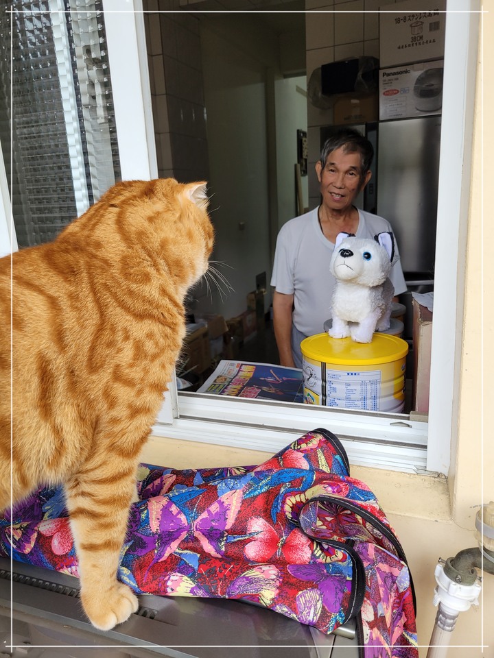 孝親好幫手《LG免曬衣乾衣機》，代替自己好好幫忙免曬衣！