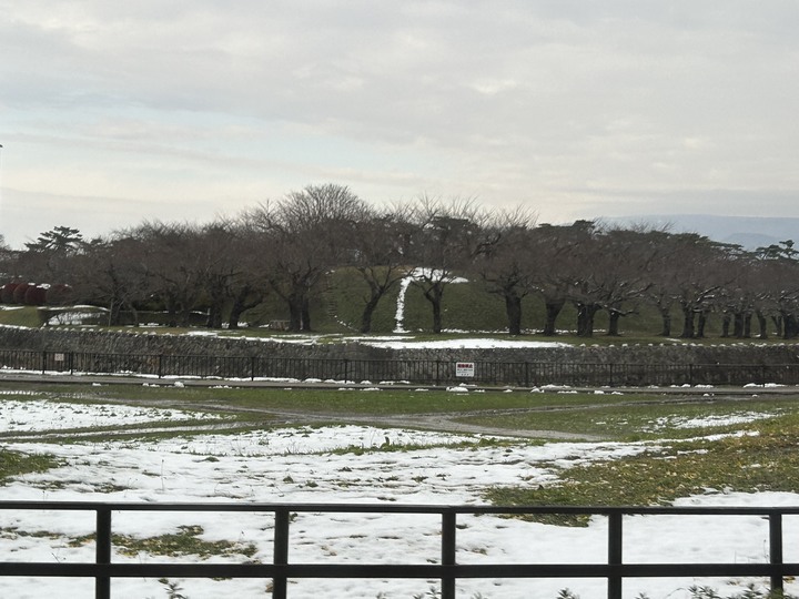 冬遊北海道(上)-五稜郭公園-女子修道院-大沼國定公園-小樽運河-尼克斯海洋公園
