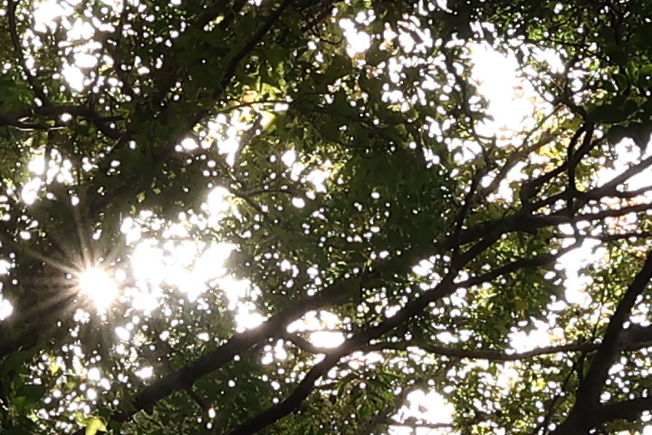 Canon RF-S 10-18mm f/4.5-6.3 IS STM 評測報告｜攝錄皆宜、僅 150g 的隨身超廣角鏡頭！