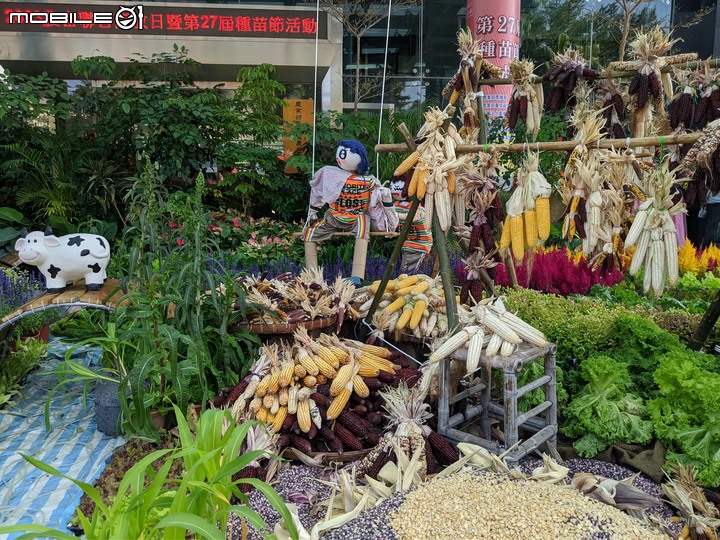 臺南區新化農業改良場種苗節 12/02