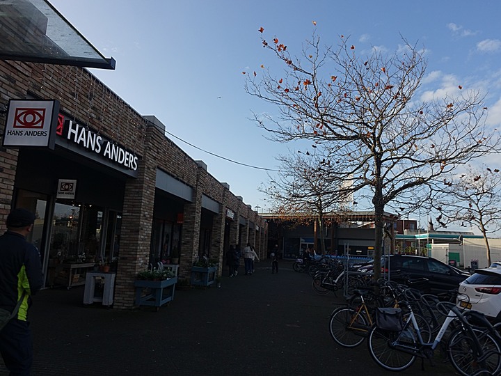 哈倫(Haarlem)市區、聖巴弗教堂(St.-Bavokerk)、桑斯安斯(Zaanse Schans)風車村、福倫丹(Volendam)午餐、羊角村(Giethoorn)遊船 — 荷蘭鄉間風光 — 2023年冬季歐洲行旅 第二部