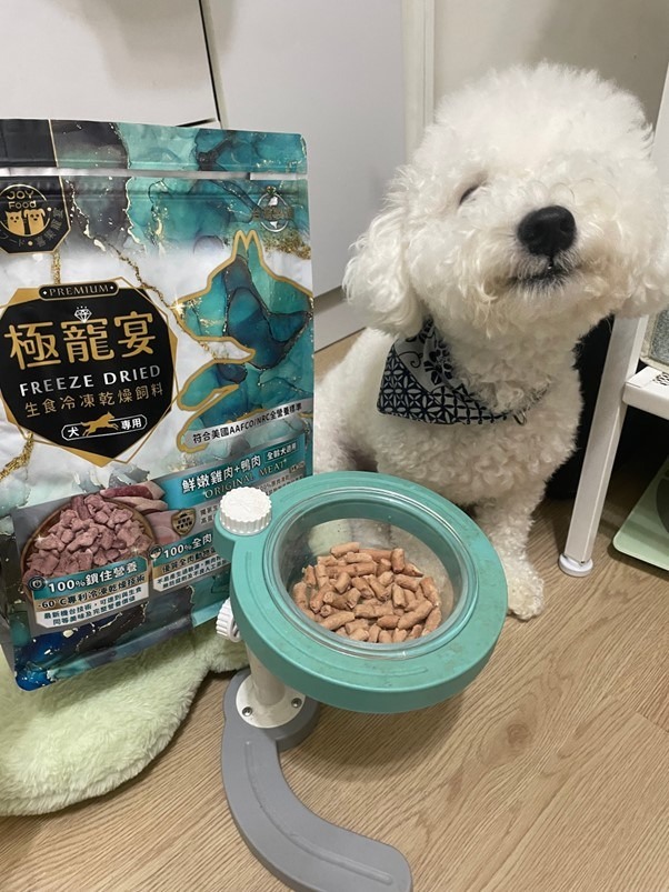 比熊寶包吃肉肉
