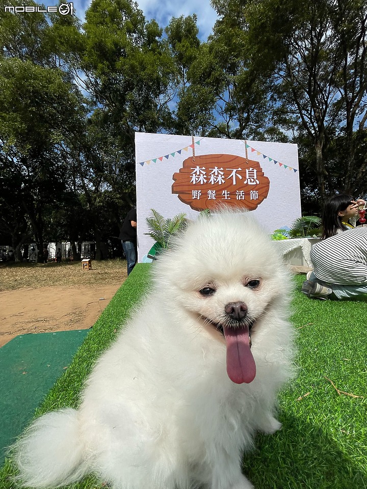 點我看大圖 一望無際的VOLVO!!! 參加VOLVO野餐生活節