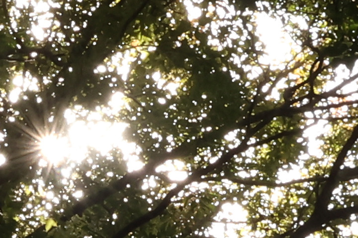 Canon RF-S 10-18mm f/4.5-6.3 IS STM 評測報告｜攝錄皆宜、僅 150g 的隨身超廣角鏡頭！