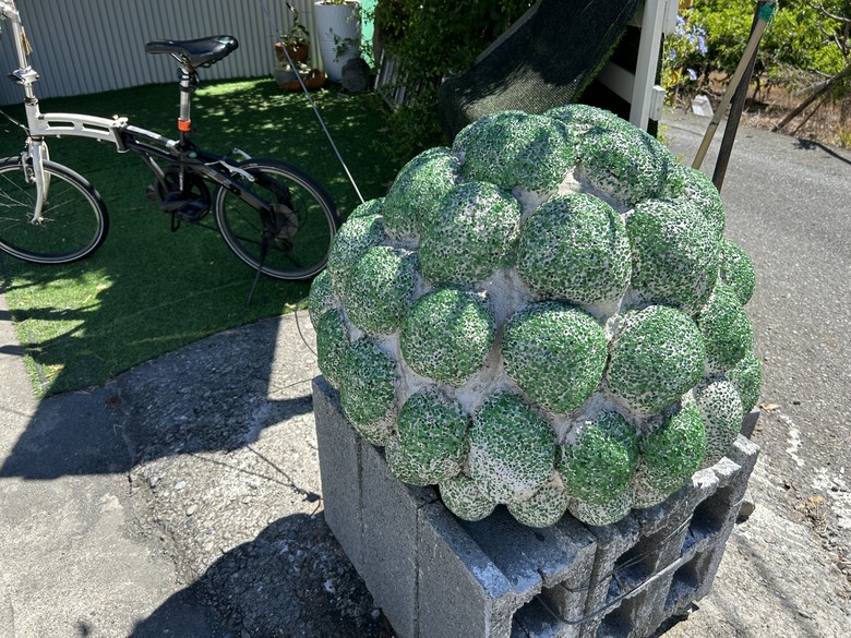 從日昇之鄉(太麻里)騎向香蘭車站